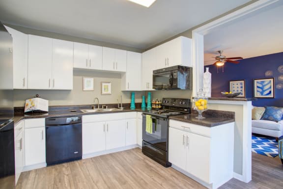Spacious Kitchen at Metro 5514, Texas