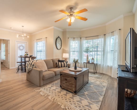 Living room with a couch at Park Hudson Place Apartments, Bryan, Texas