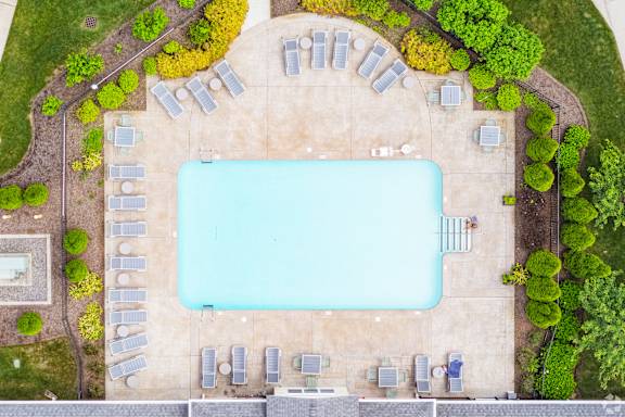 An aerial view of a swimming pool surrounded by sun loungers and trees.