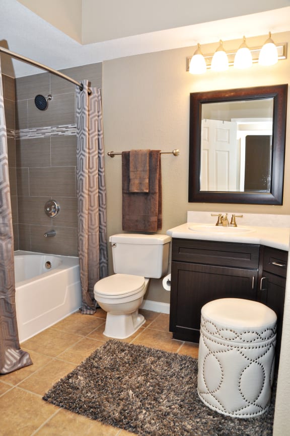a bathroom with a shower toilet and sink and a mirror