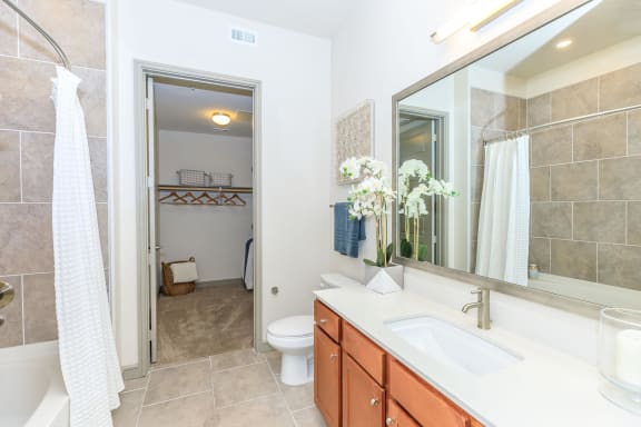 a bathroom with a sink and a mirror and a toilet