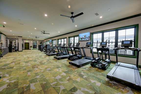 A gym with treadmills and exercise bikes.