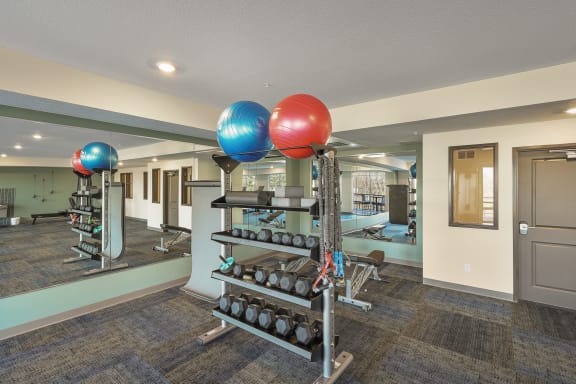 a gym with weights and balls on a rack and a doorway
