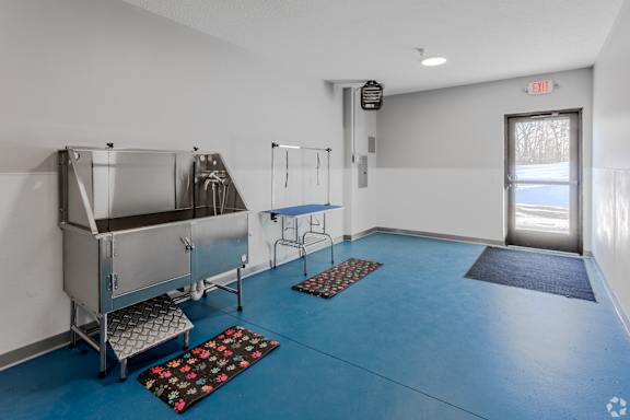 A room with blue flooring and white walls has a couple of sinks and a door.