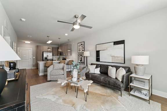 A living room with a grey couch and a white rug.