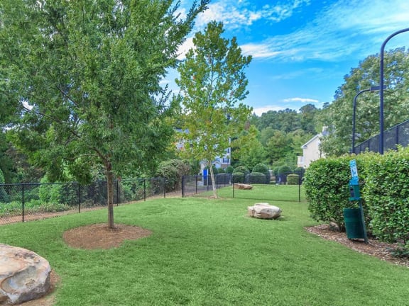 Pet Park