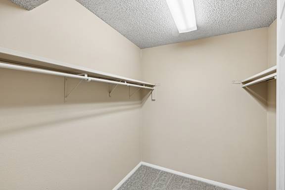 Empty walk-in closet with shelves and a carpeted floor.
