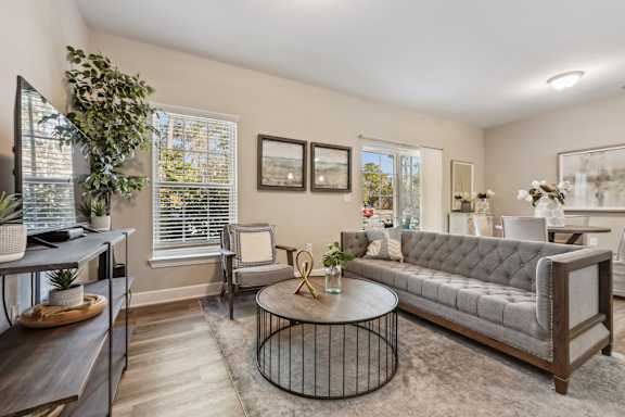 A living room with a grey sofa, a coffee table, and a potted plant.