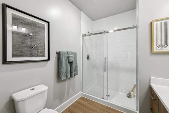 A bathroom with a toilet, a shower with a glass door, and a picture on the wall.