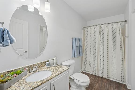 A bathroom with a white toilet, sink, and shower curtain.