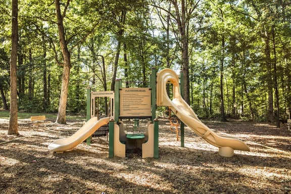 a playground with slides in a park