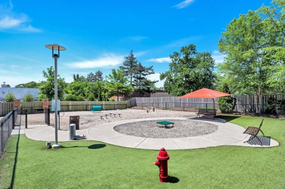 Dog Park