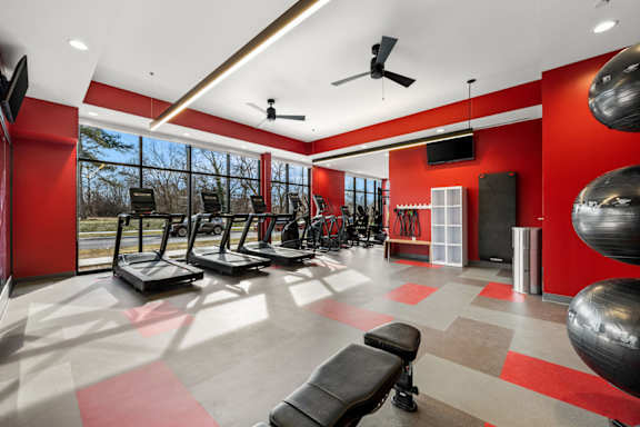 A gym with treadmills, weights, and a bench.