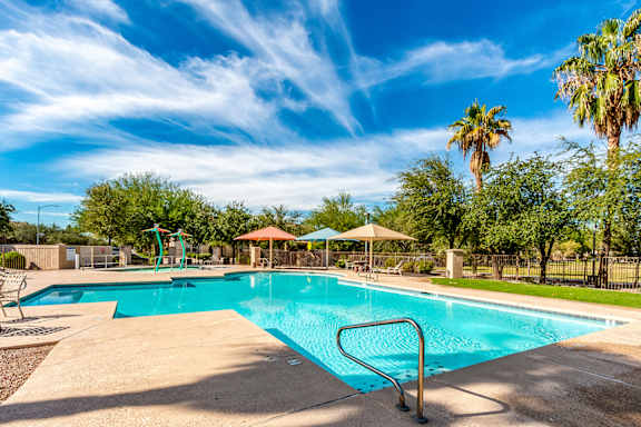 A large swimming pool surrounded by palm trees and a playground.