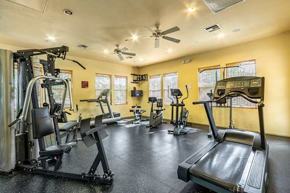 A spacious gym with a variety of equipment including treadmills, weight machines, and a television.