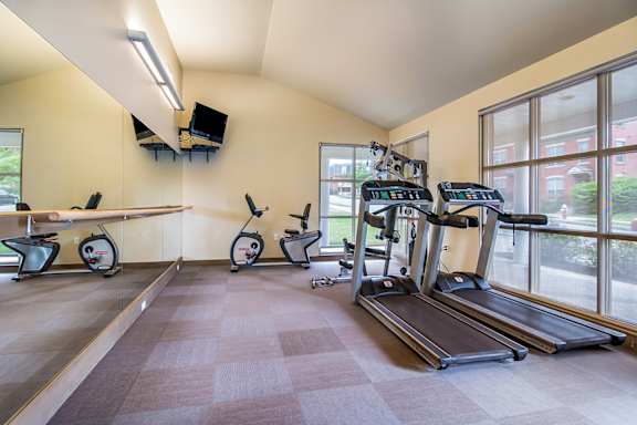 A gym with treadmills, elliptical machines, and a rowing machine.