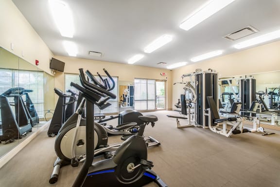 a gym with cardio equipment and weights at the renaissance at port royal apartments