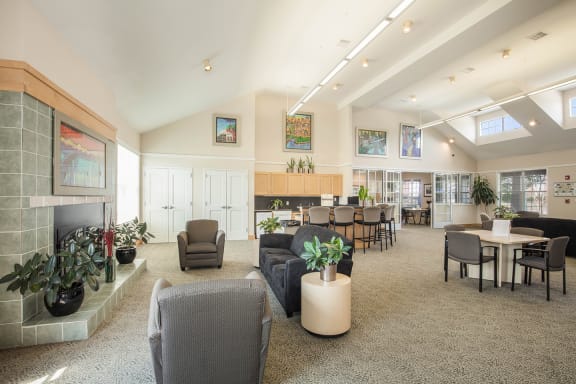 a living room with couches and chairs and a fireplace