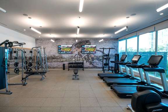 A gym with treadmills, weights, and exercise bikes.