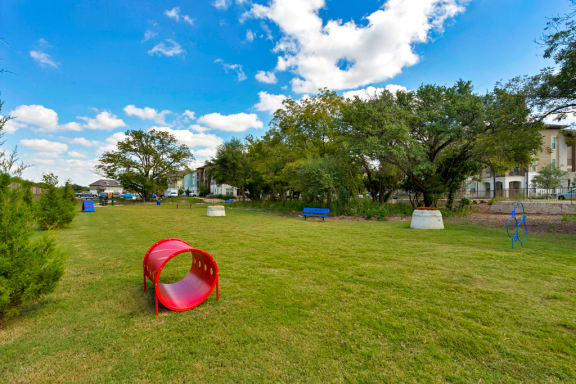 Dog Park