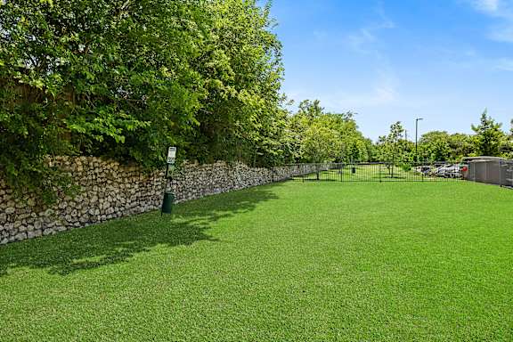 A grassy field with trees and a stone wall.