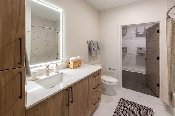 A bathroom with a white sink and a brown rug.