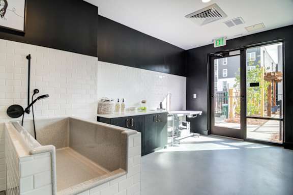 A bathroom with a white tiled shower and a black wall.
