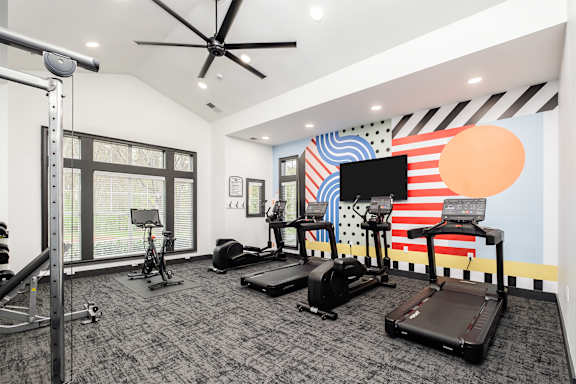 A gym with a variety of equipment including treadmills, weights, and a television.