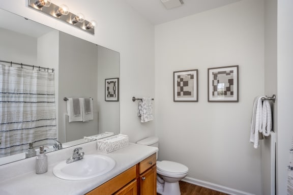 a bathroom with a large mirror and a toilet next to a sink