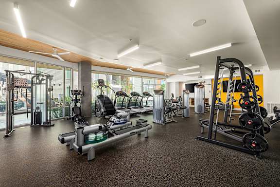A gym with a variety of equipment including treadmills, weights, and exercise machines.
