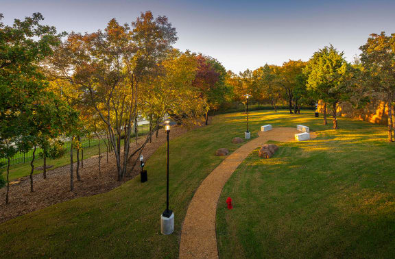 Dog Park