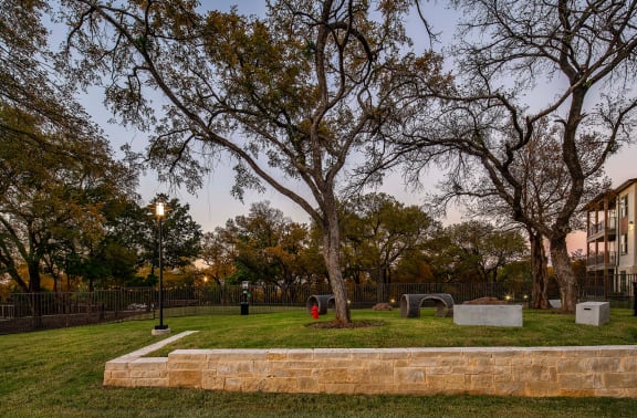 Dog Park 2