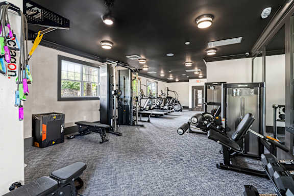 A gym with a variety of equipment including a treadmill, weights, and a bench press.