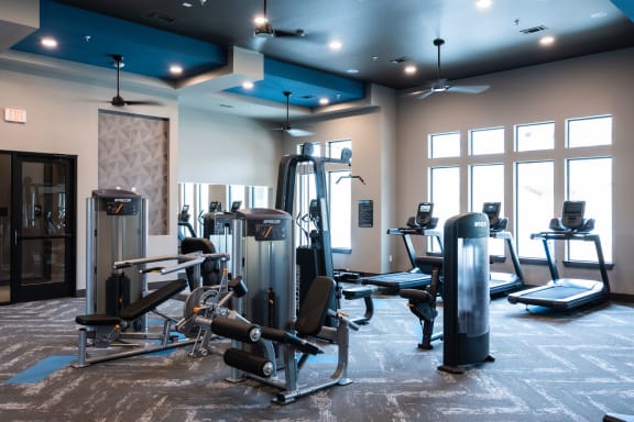 a gym with a lot of exercise equipment in it