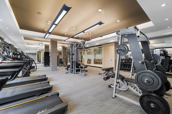 a gym with cardio equipment and weights on the floor