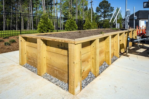 a large wooden raised garden bed with a row of trees in the background