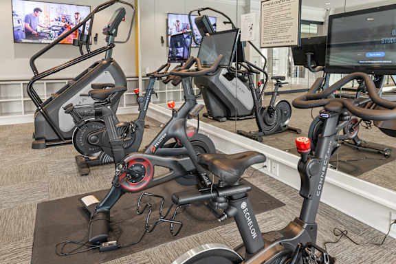 A row of stationary exercise bikes are lined up in a row.