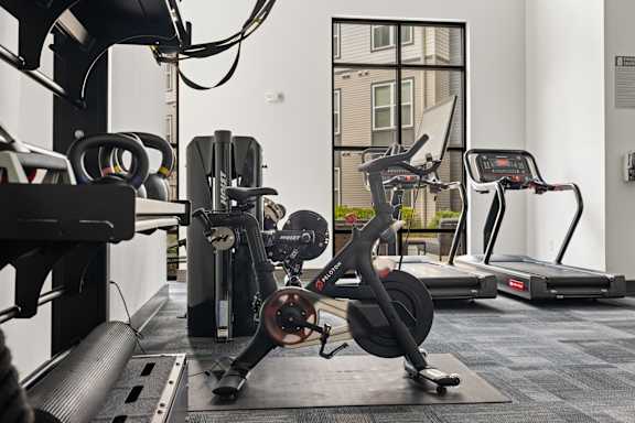 A gym with a row of treadmills and a row of stationary bikes.