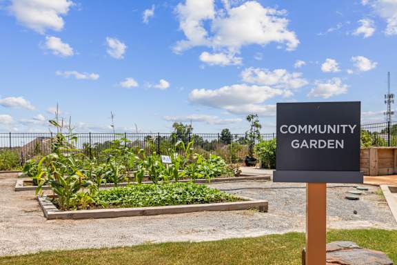 A community garden with a sign that says "Community Garden" in front of it.