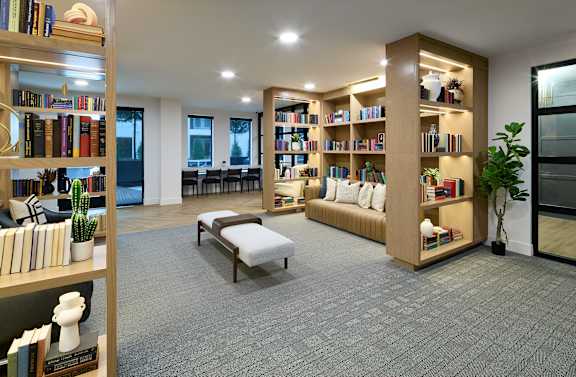 A room with a grey carpet and bookshelves filled with books.