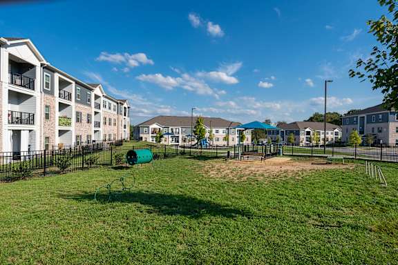 A playground with a green slide and a green barrel in the middle of a grassy area.