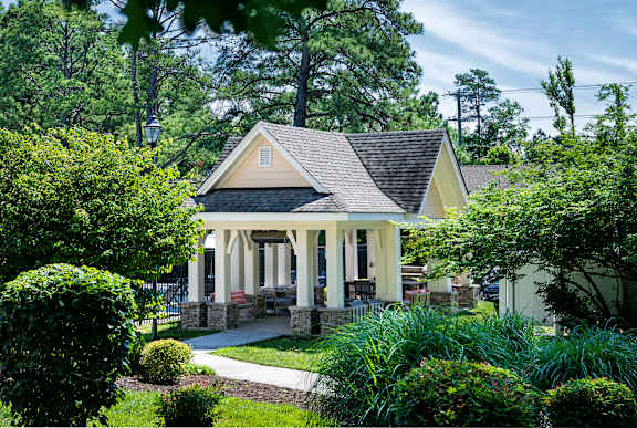 A house with a porch surrounded by greenery.