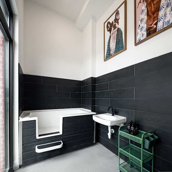 A bathroom with a black tiled wall and a white sink.