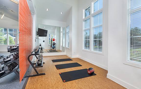 A gym with a row of exercise mats and a row of dumbbells.