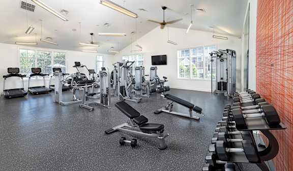 A gym with a variety of equipment including treadmills, weights, and a television.