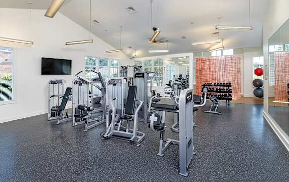 A gym with a variety of equipment including treadmills, weights, and a television.