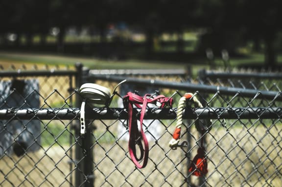Fenced in pet play area at Glen at Burnsville, Burnsville Minnesota