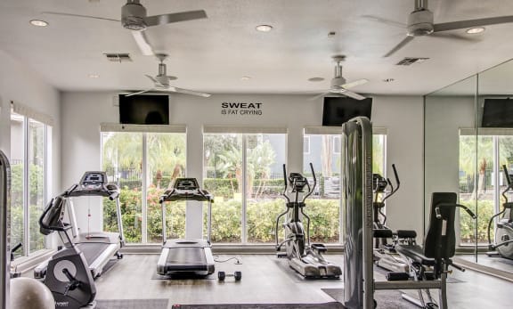 Fitness center with treadmills and elliptical machines at The Arbor Walk Apartments, Tampa, FL