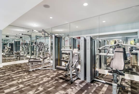 Fitness Equipment at Canopy Glen, Georgia, 30093