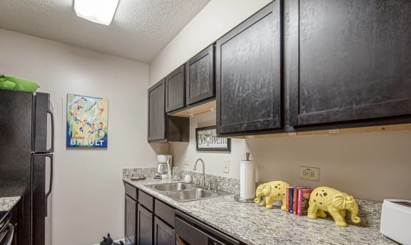 Stainless Steel Sink In Kitchen at Esplanade at City Park, Louisiana, 70119